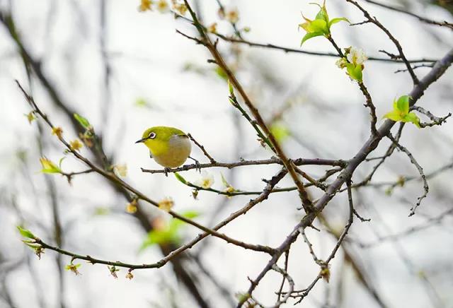 微信圖片_20180314150137.jpg 微信圖片_20180314150137.jpg