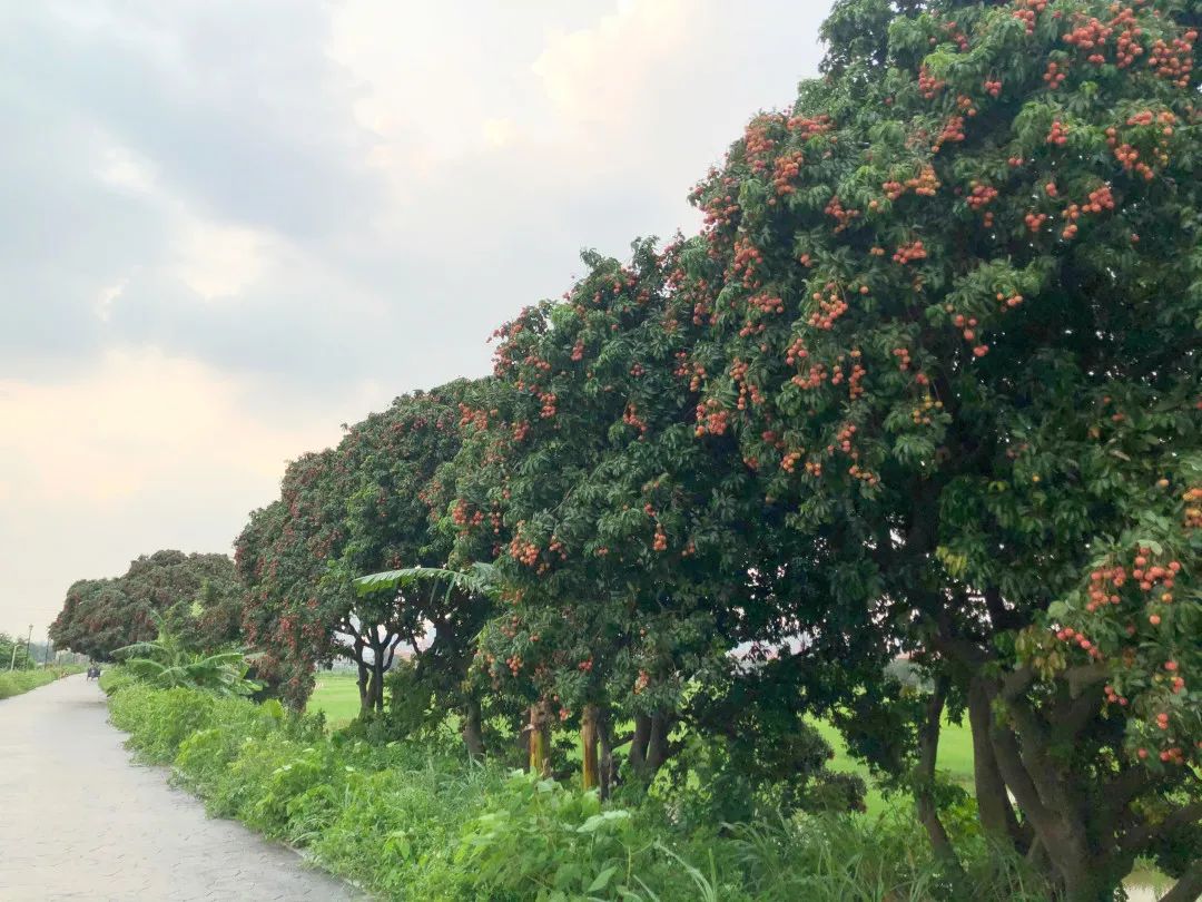 微信圖片_20210625161914.jpg 微信圖片_20210625161914.jpg