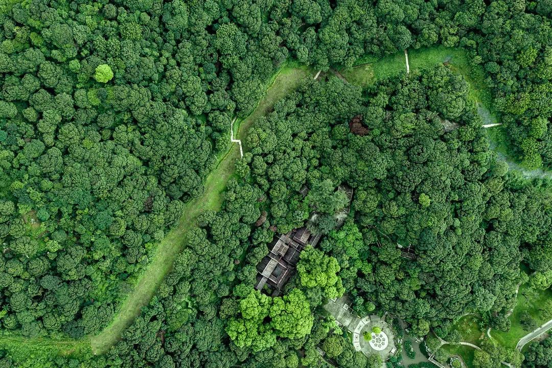 微信圖片_20210628092622.jpg 微信圖片_20210628092622.jpg