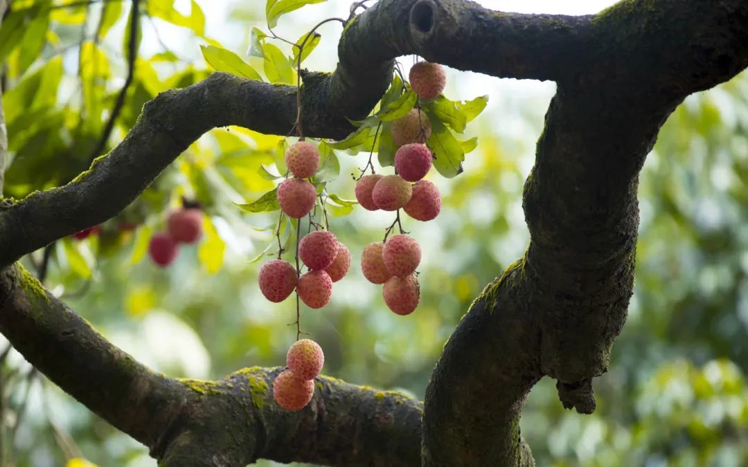 微信圖片_20210628095035.jpg 微信圖片_20210628095035.jpg