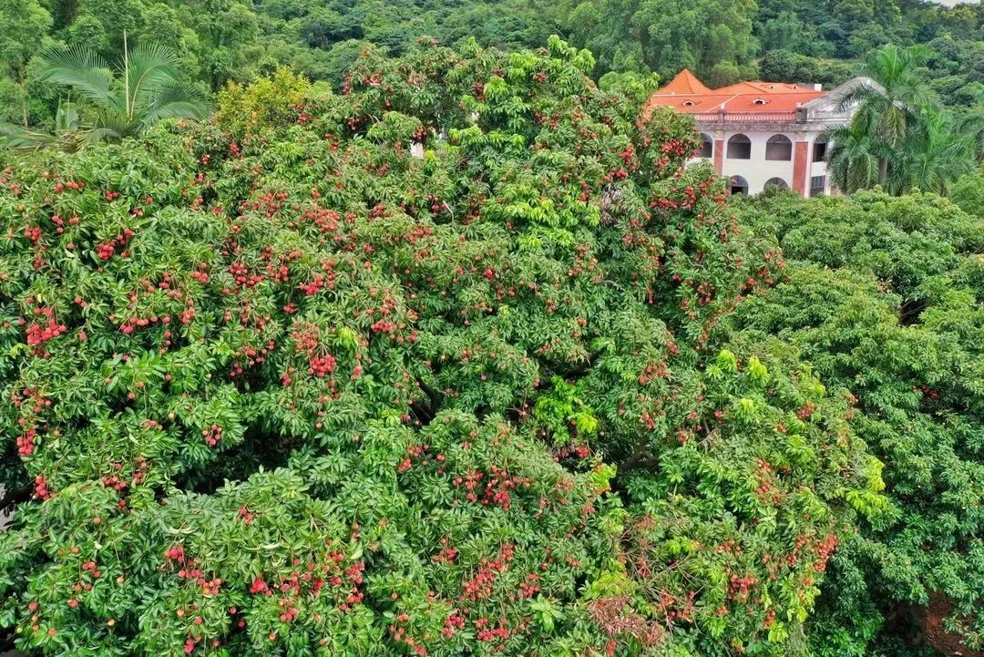 微信圖片_20210628100008.jpg 微信圖片_20210628100008.jpg