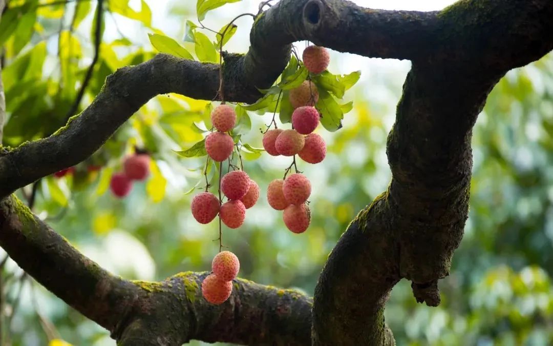 微信圖片_20210628100021.jpg 微信圖片_20210628100021.jpg